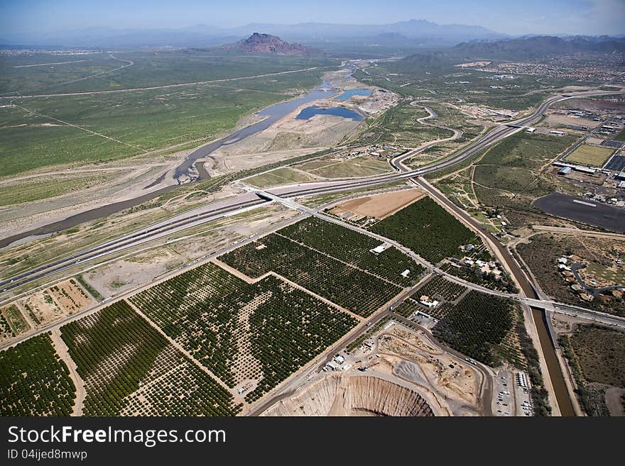 Citrus Trees and the Salt River