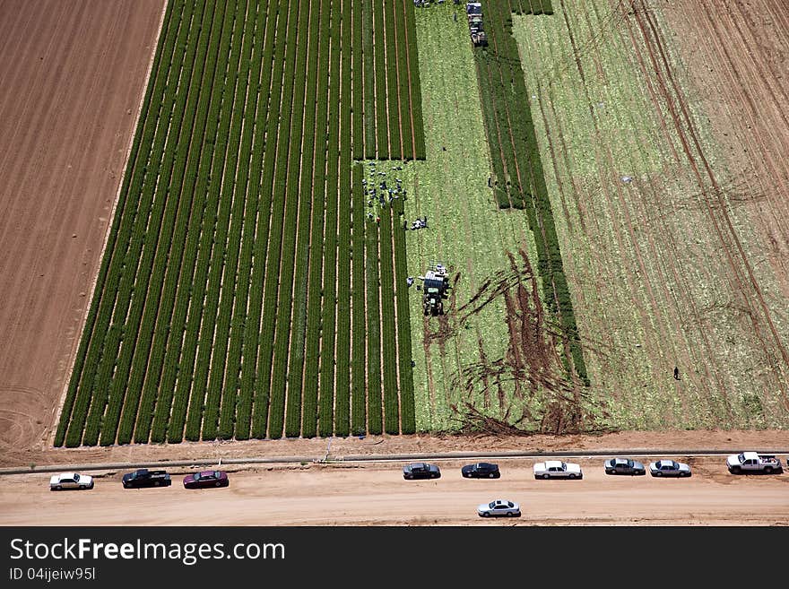 Agriculture