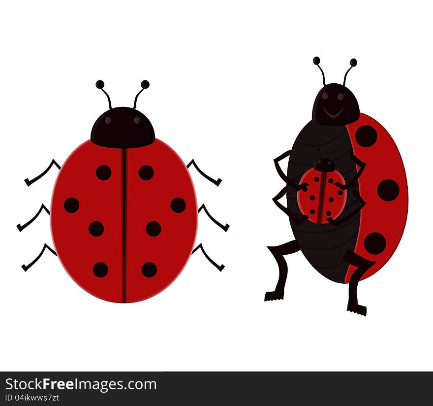 Illustrated Ladybugs