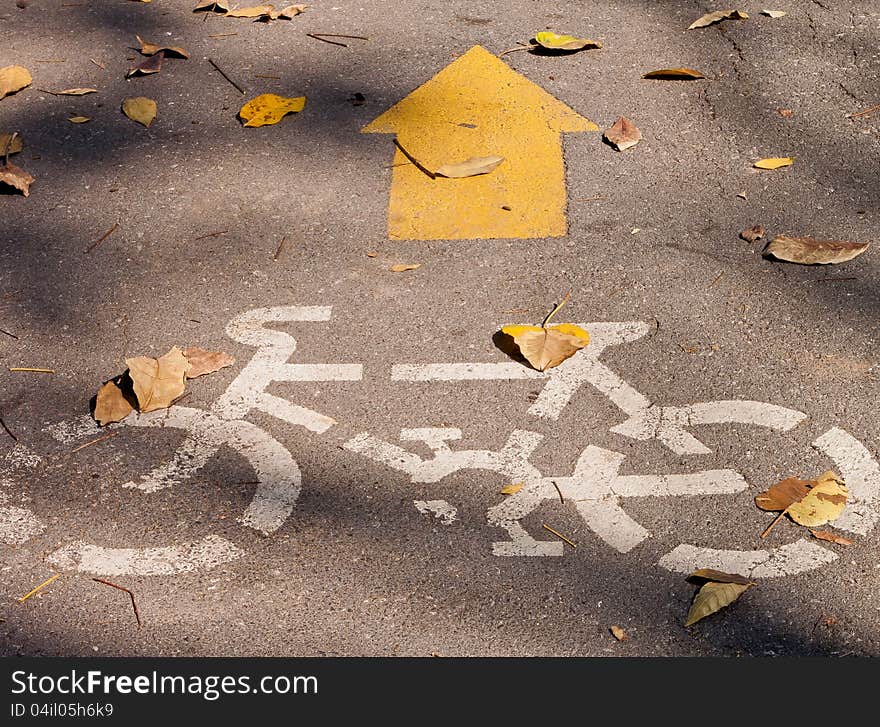 Yellow arrows and bicycle sign path on the road