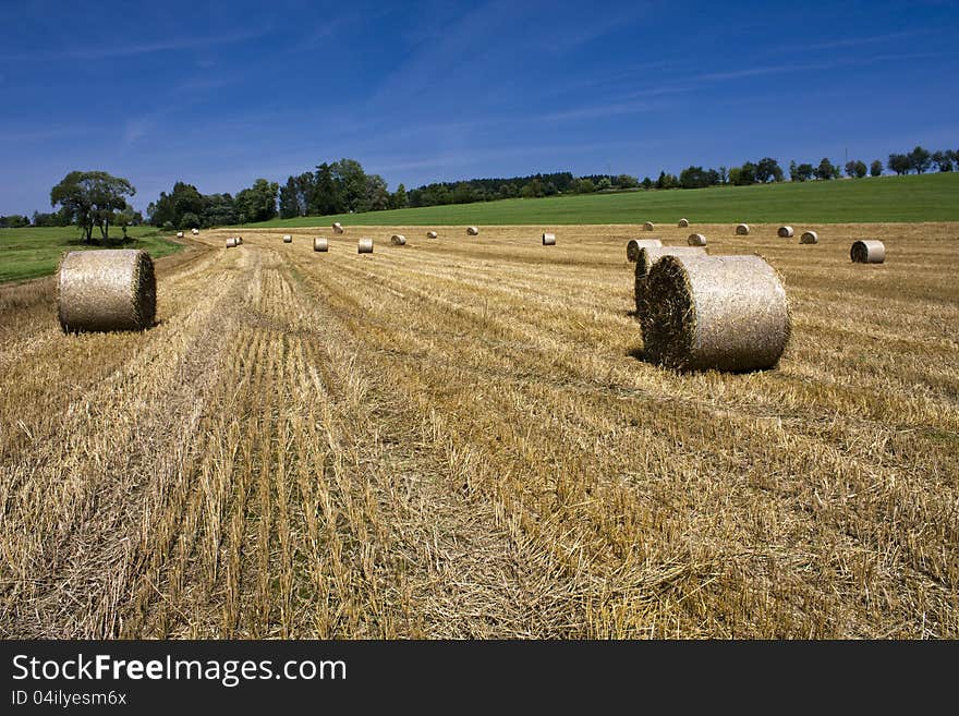 Harvested fields