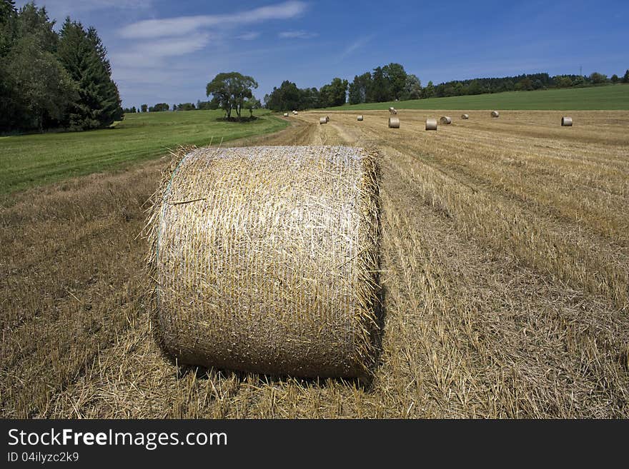 Harvested fields with round straw bales, summer agricultural landscape of post-harvest