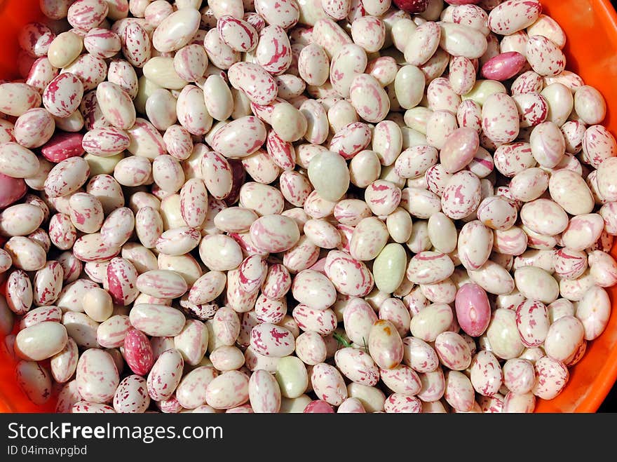 White Fresh Organic Beans