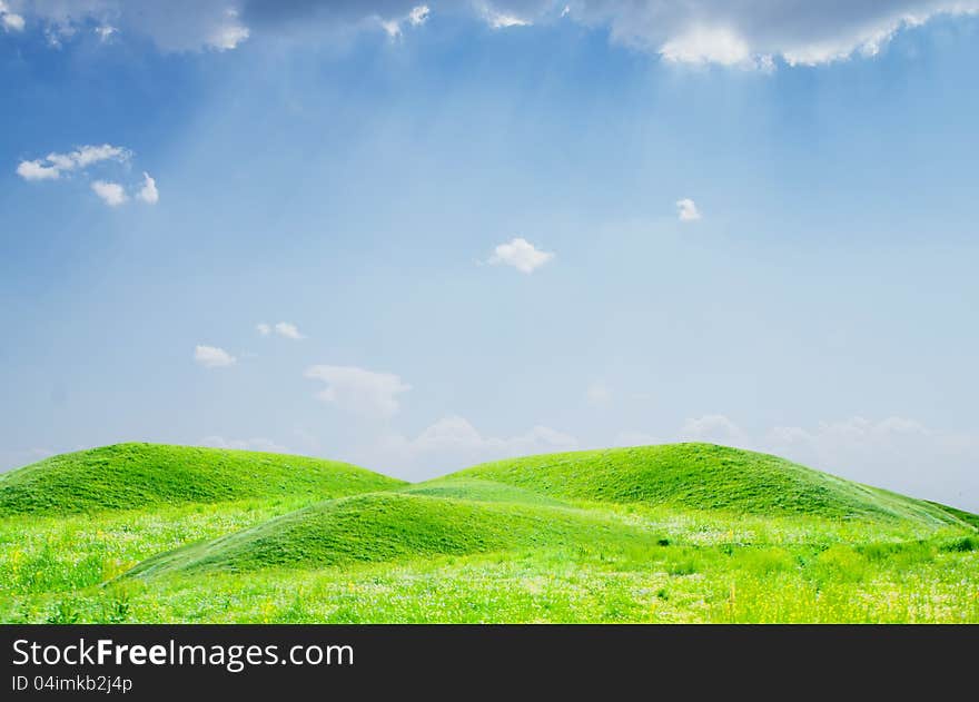 Field of grass and perfect sky. Field of grass and perfect sky