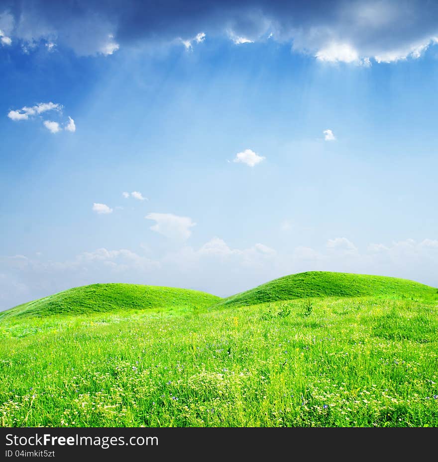 Summer meadow on bright sunny day. Summer meadow on bright sunny day.