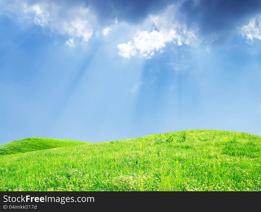 Grass And Perfect Sky