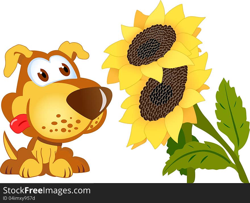 Yellow sunflowers and puppy