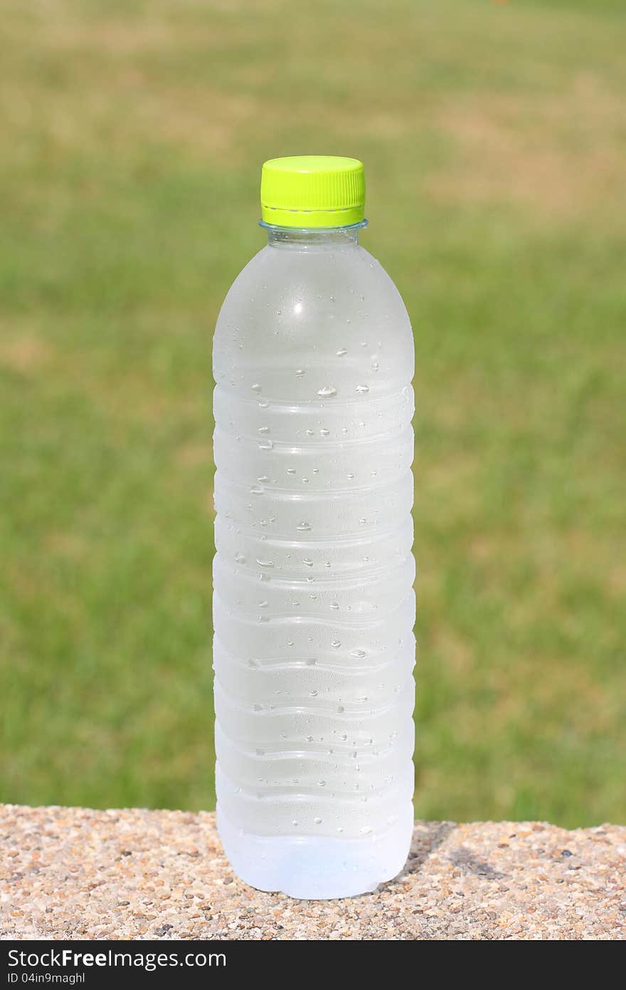 Bottle of water