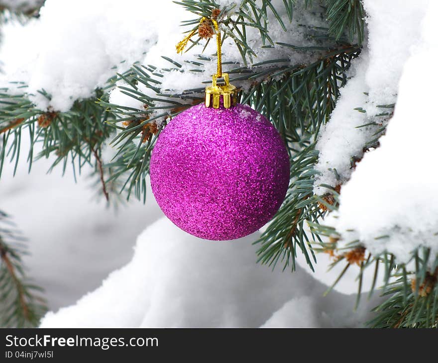 Pink shiny ornament on natural trees under snow, photo. Pink shiny ornament on natural trees under snow, photo