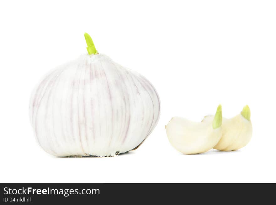 Garlic with 2 peeled garlic cloves on white background. Garlic with 2 peeled garlic cloves on white background