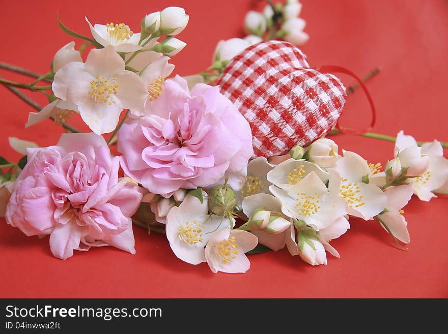 Jasmine flowers on a red background