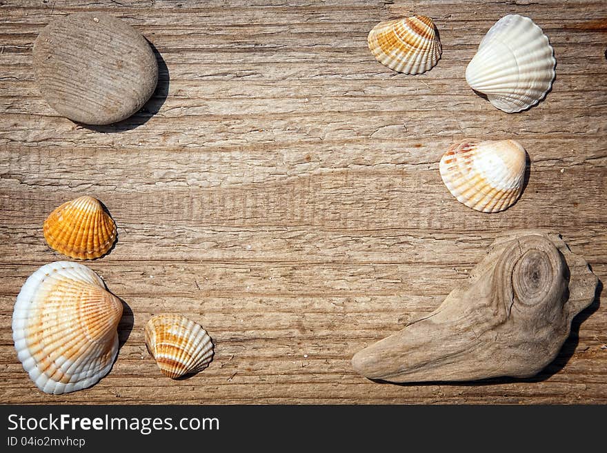 Seashells border on the old wooden deck