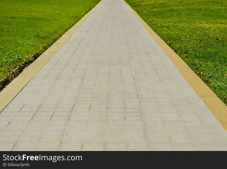 Path And Grass