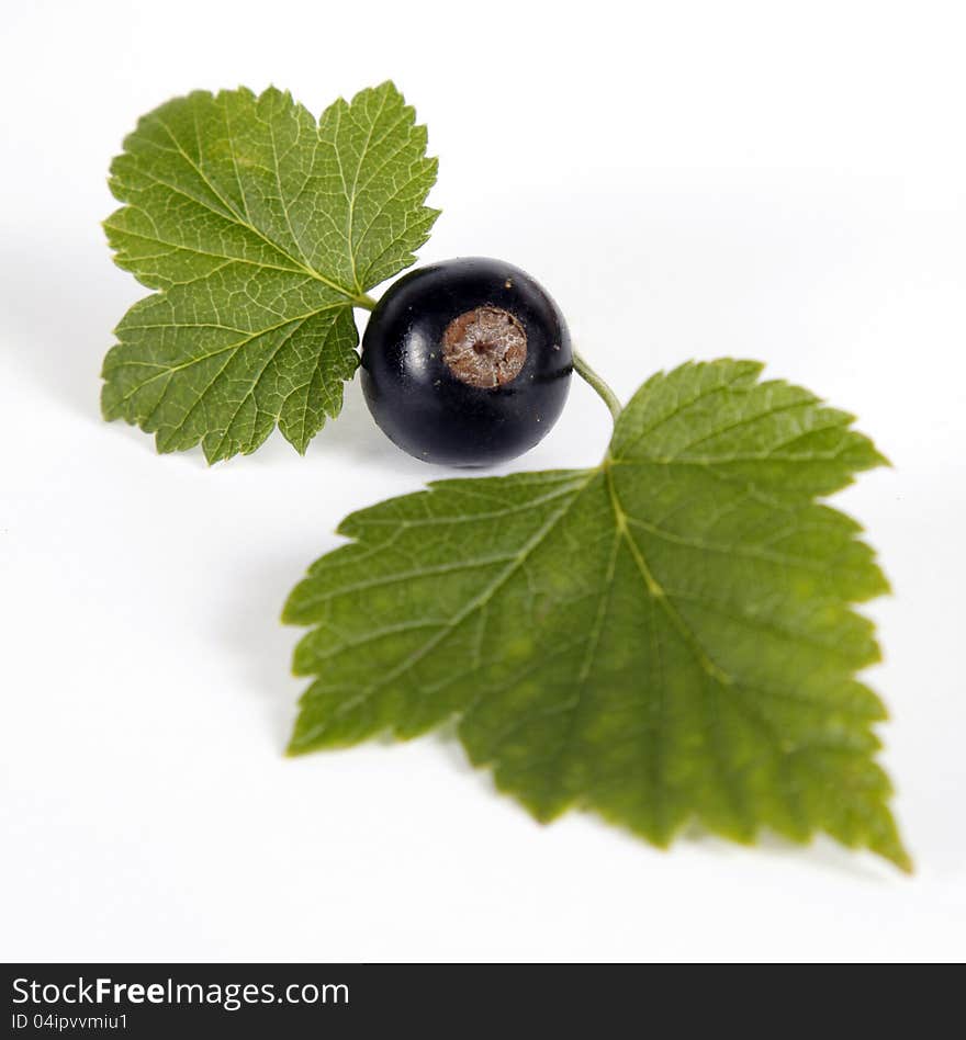 Blackcurrants