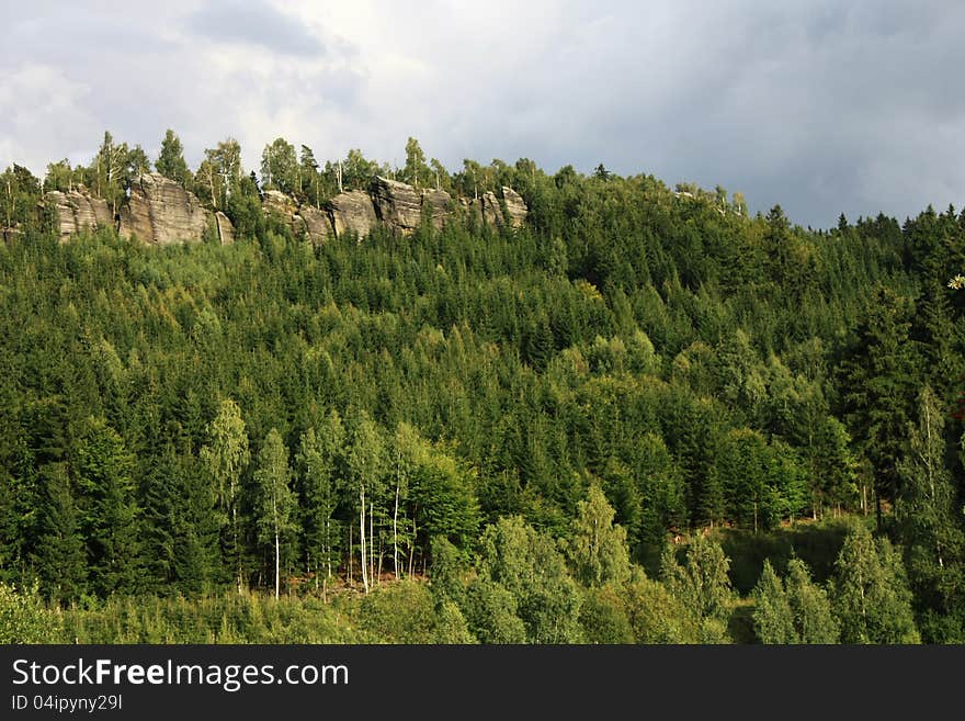 Coniferous forest with rocks and sunny day. Coniferous forest with rocks and sunny day