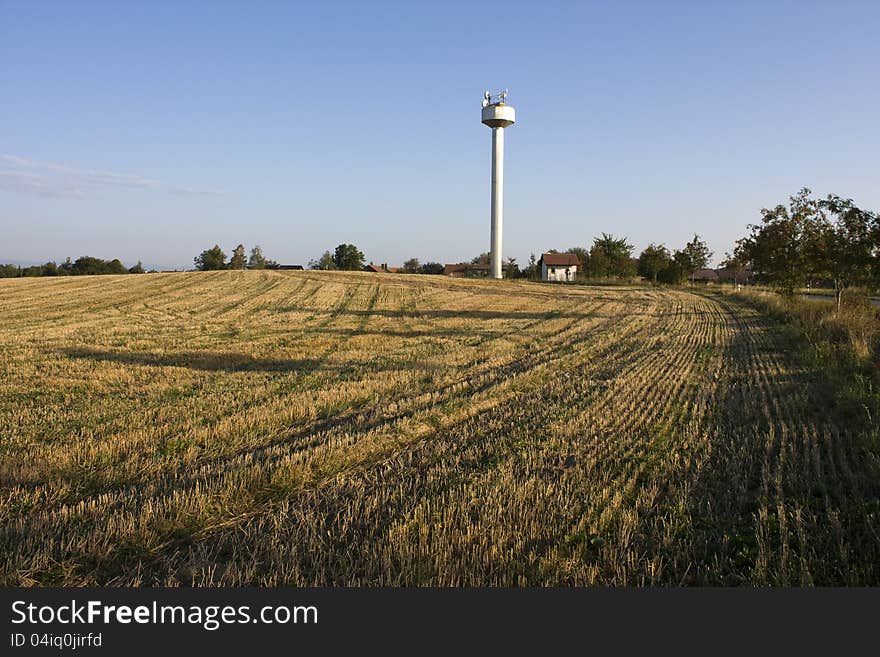 Harvested field