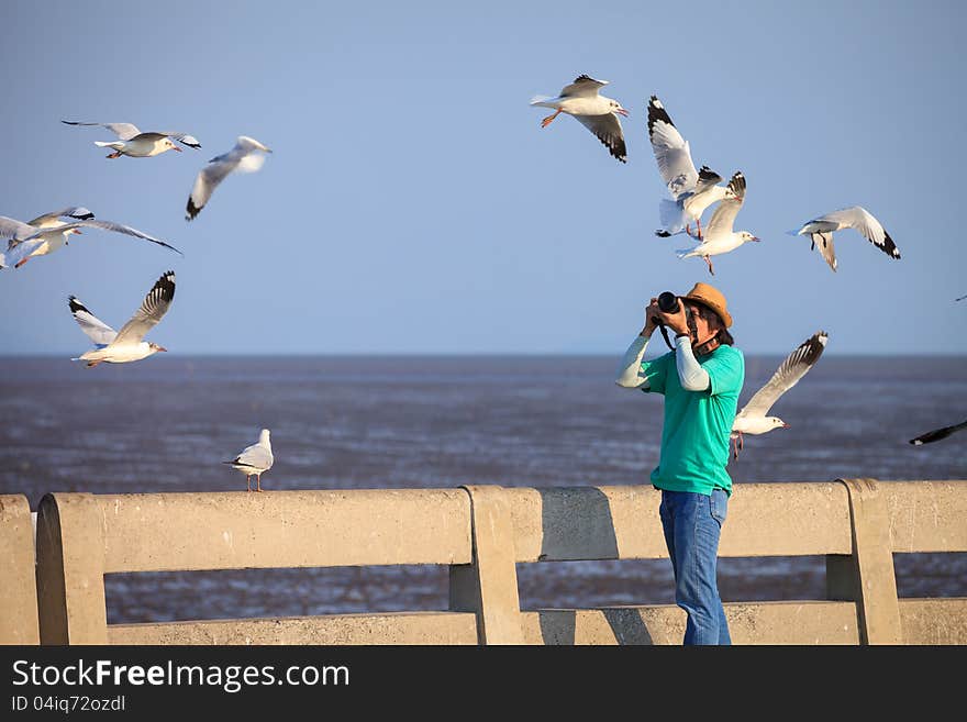 Photographer taking seagulls photo