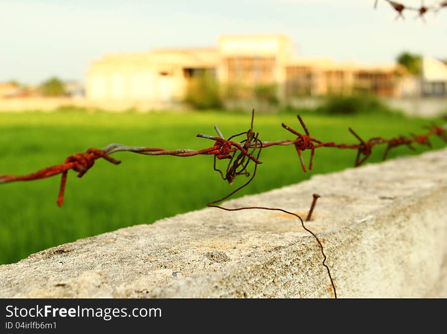 Thorns sharp wire