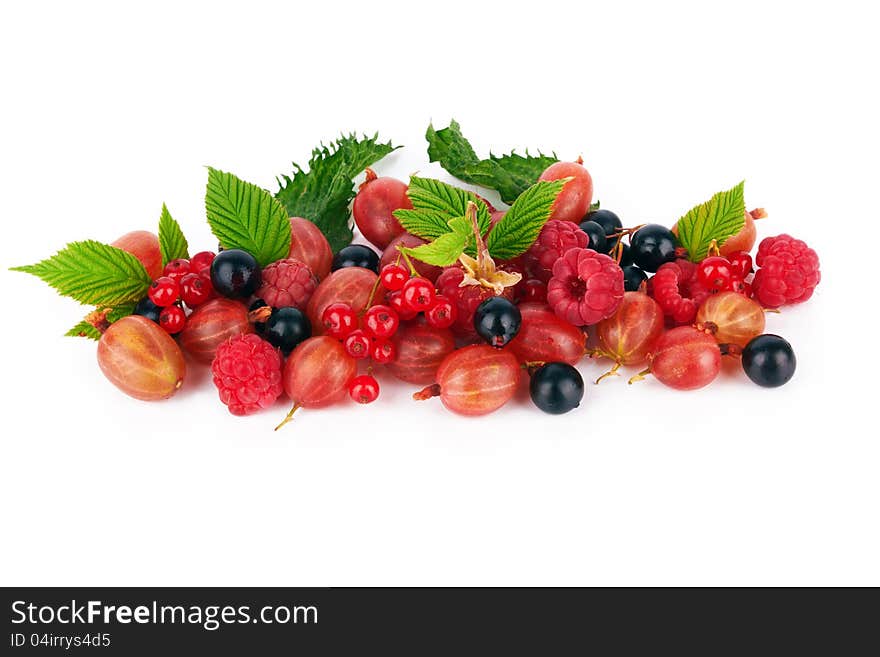 Berries