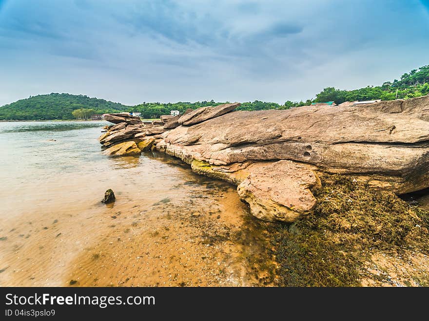 Environment of the dam. A tourist attraction. And a source of livelihood of people in the area. Environment of the dam. A tourist attraction. And a source of livelihood of people in the area.