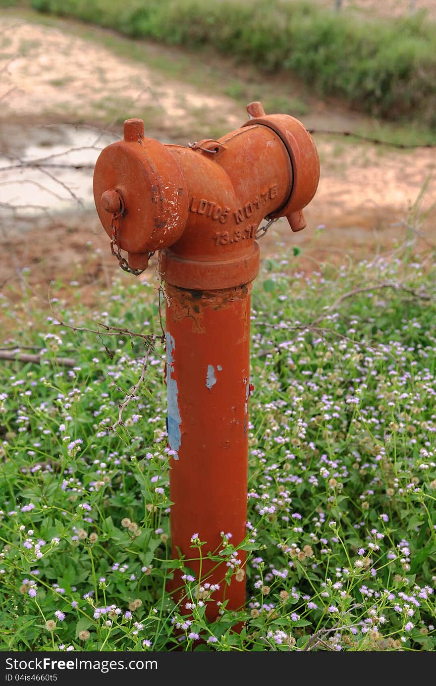 A red fire hydrant against a green lawn