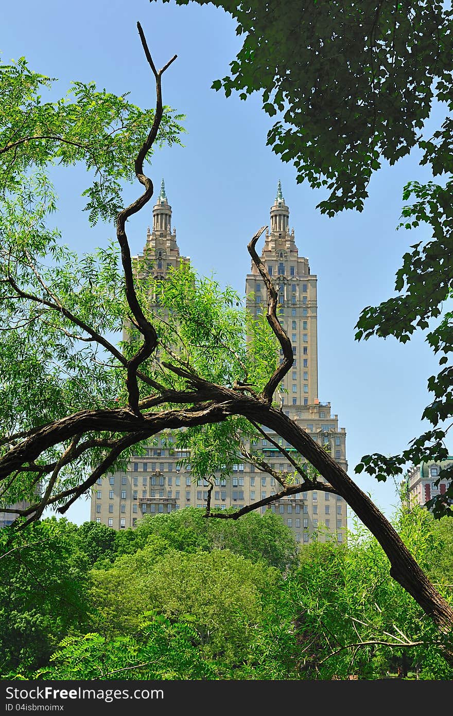 Midtown buildings from central park. Midtown buildings from central park