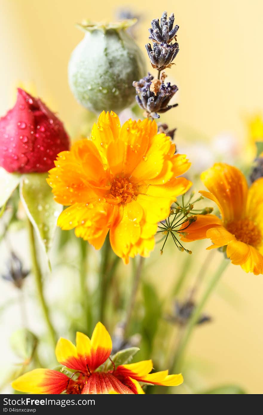 Beautiful bouquet of bright summer wildflowers. Beautiful bouquet of bright summer wildflowers