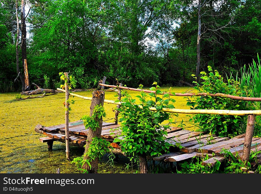 The old wooden bridge on the bank of a wetland pond