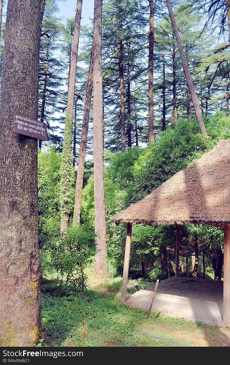 Lovely view of a hill-top Eco-park. Lovely view of a hill-top Eco-park