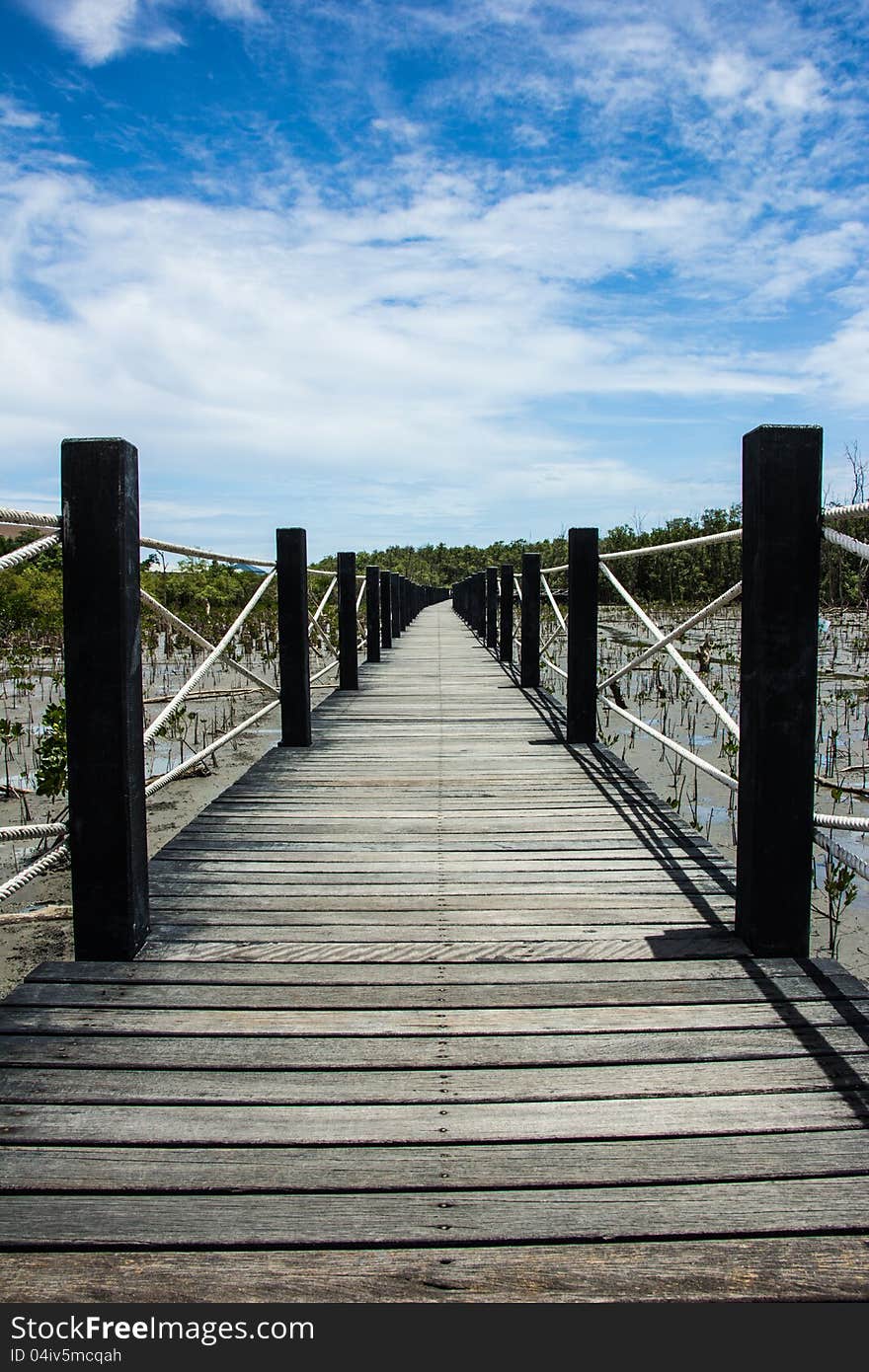 Wood bridge in mangrove forest