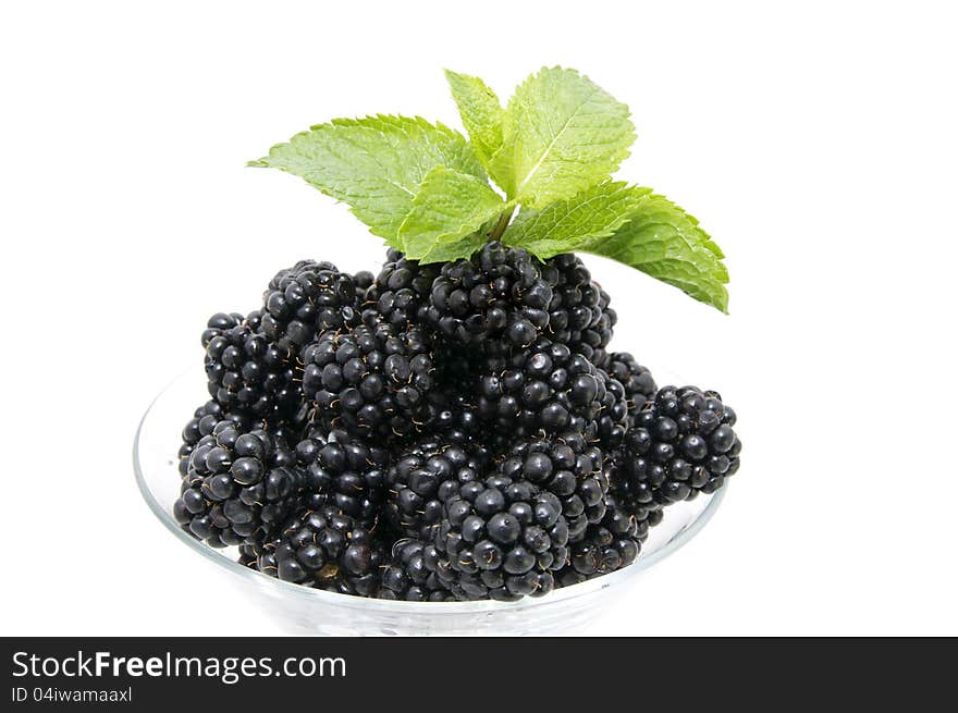 Blackberries on a white background in the restaurant. Blackberries on a white background in the restaurant