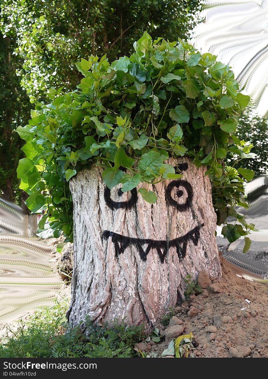 The photo stump become covered by foliage to which added the face. The photo stump become covered by foliage to which added the face