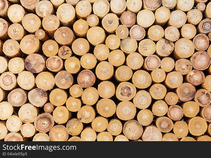 Cross section of the timber for the firewood. Cross section of the timber for the firewood