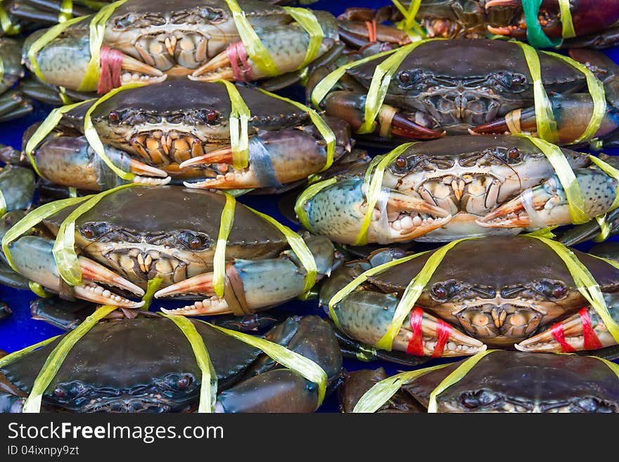 Fresh crabs on sale at a local market in Thailand