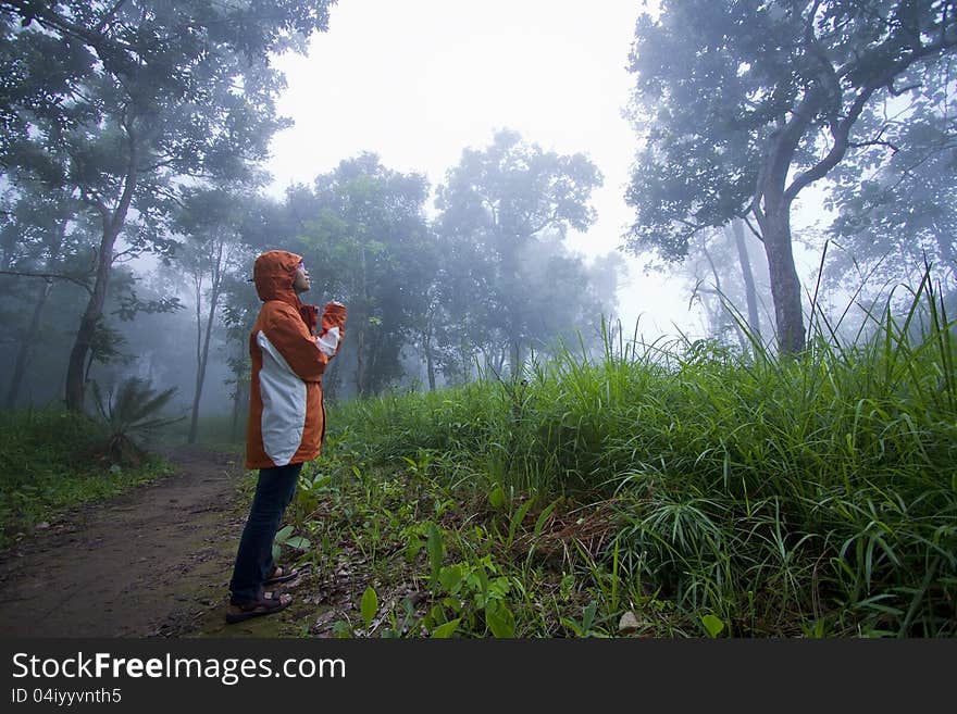 Girl In The Mist