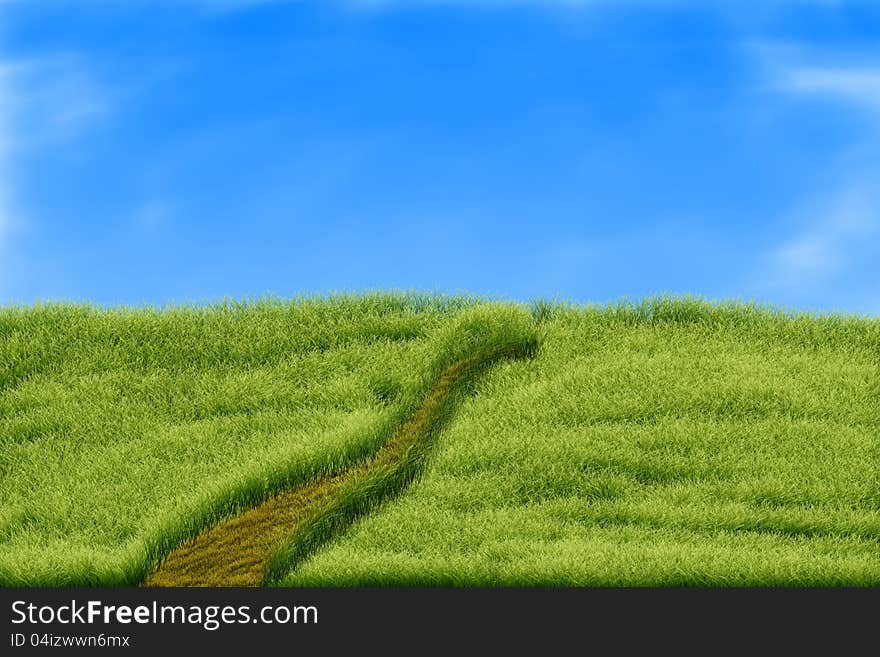 Road in meadow with wild herbs. Summer landscape.