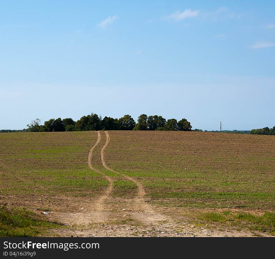 Way in green field