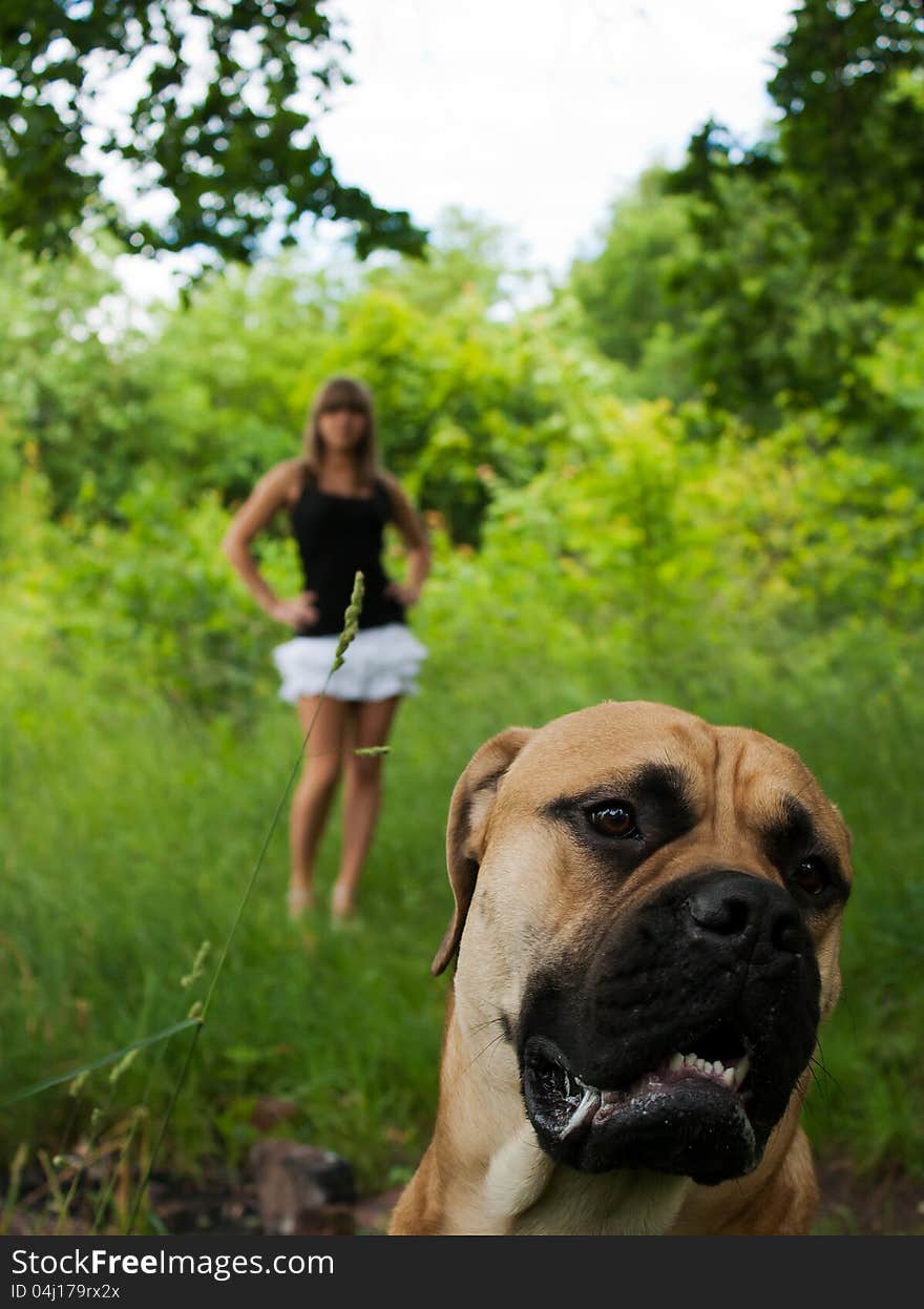 Young girl with her dog walking in city park