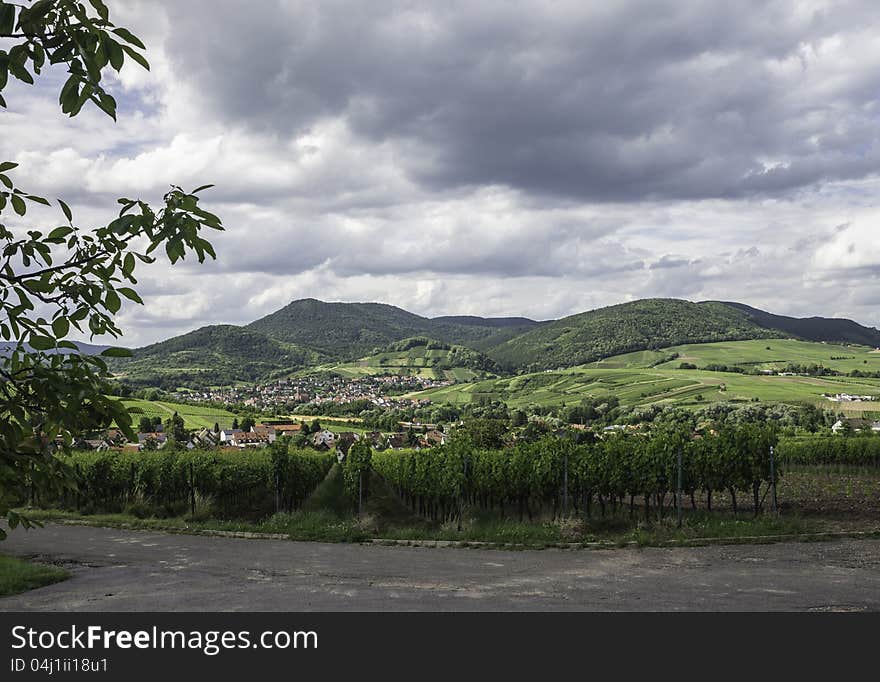 Palatinate Wine Country