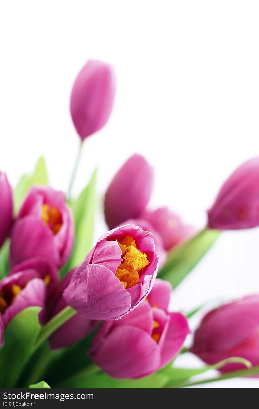 Fake pink flowers isolated on white background, closeup