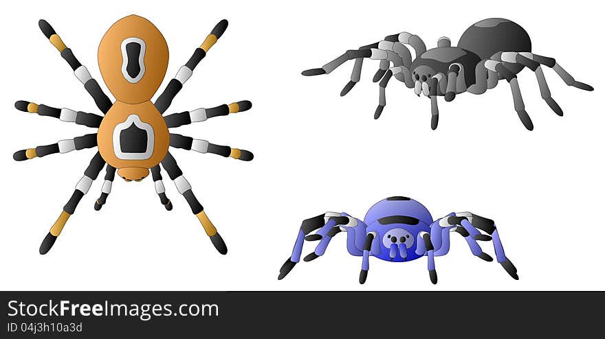 Spiders (3 colors - 3 views - Top, Front and 3/4)