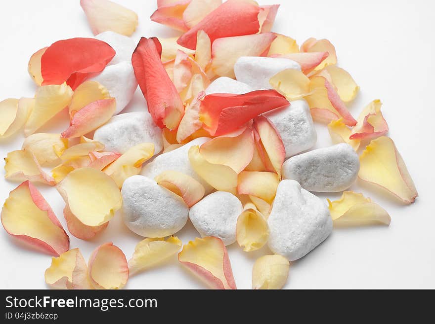 White stones with leaves of flowers.