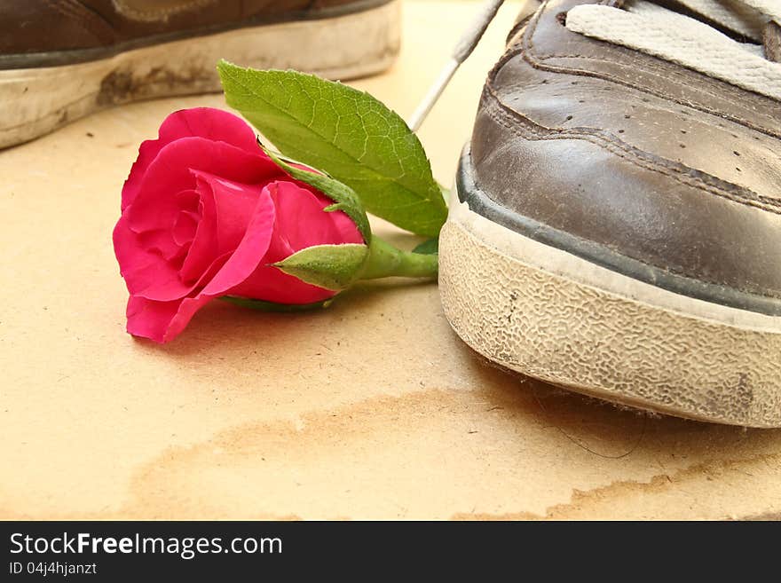 Shoe trample rose