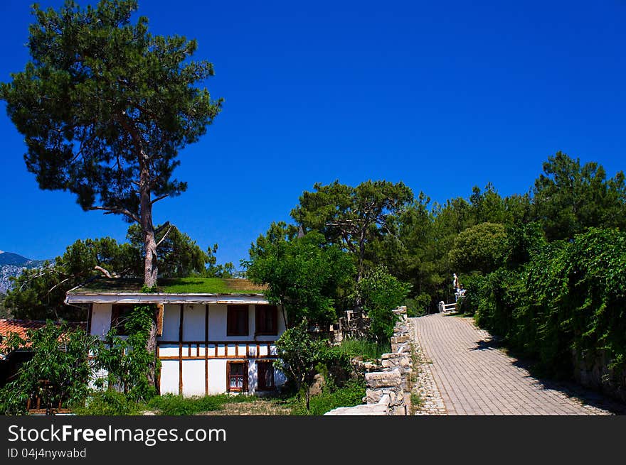 Hotel in forest