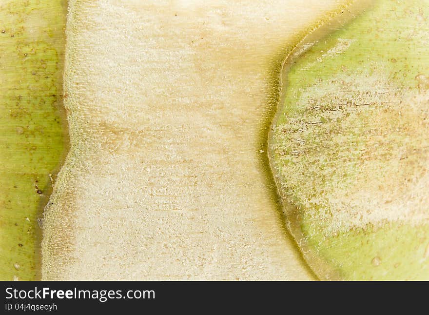 Closeup texture of coconut shell