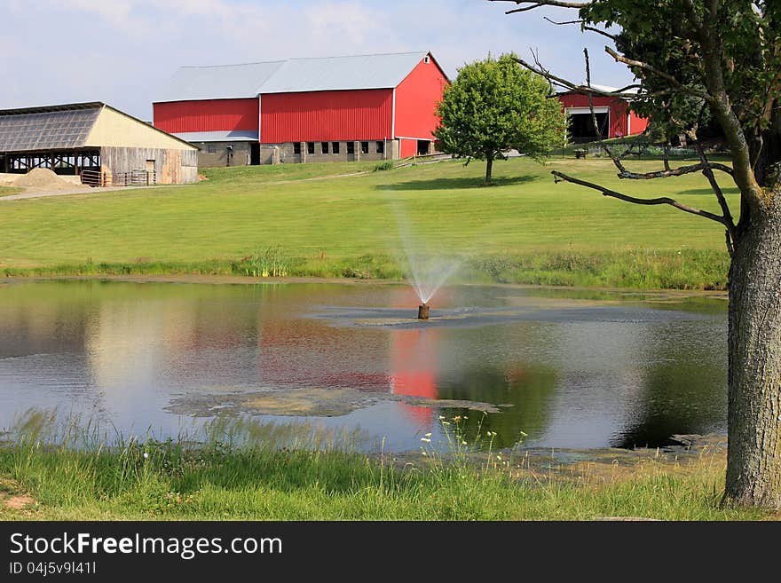 Bright red barns