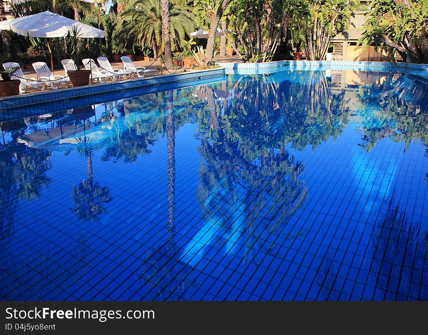 Pool surrounded by palm trees and chairs. Pool surrounded by palm trees and chairs