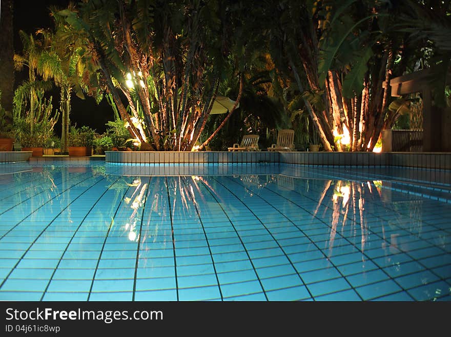 Pool and palm trees at night. Pool and palm trees at night