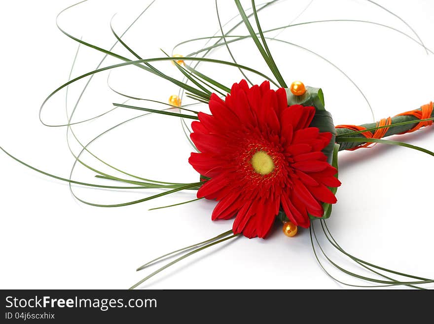 Arranging flowers on a white background.