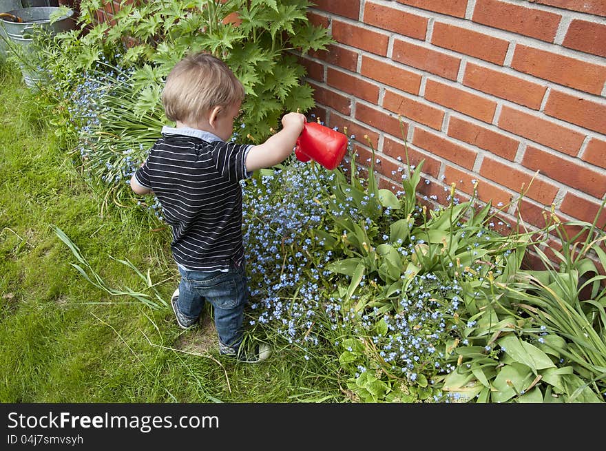 Little Gardener